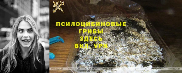 spice Балахна