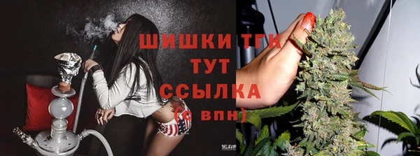 молекула духа Баксан