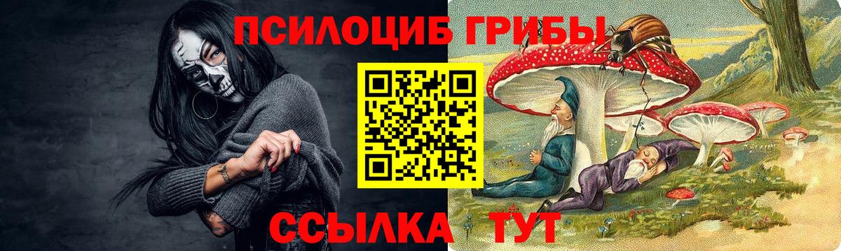 Галлюциногенные грибы Magic Shrooms Кунгур