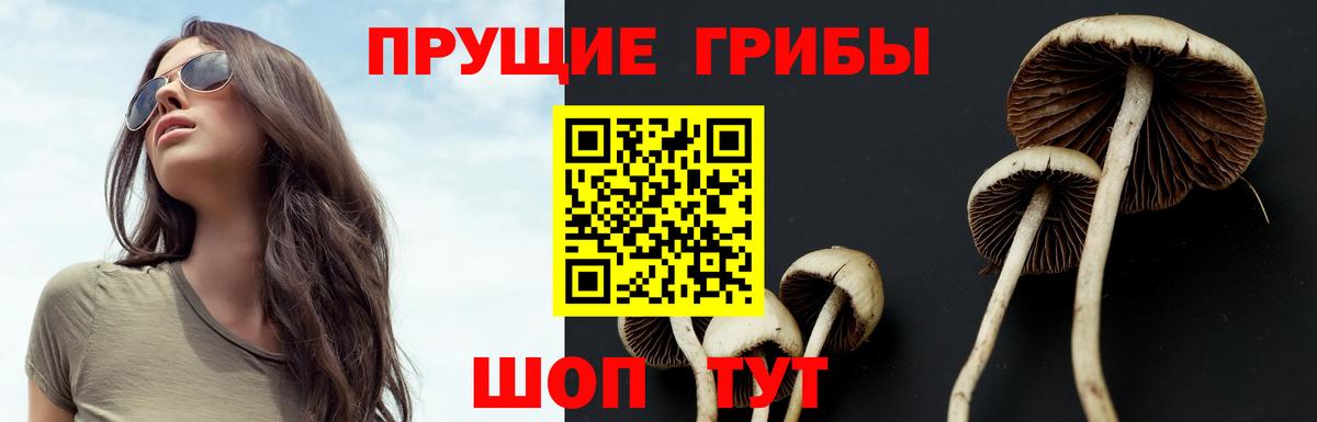 Кунгур  Галлюциногенные грибы прущие грибы  наркошоп  Вход с VPN 